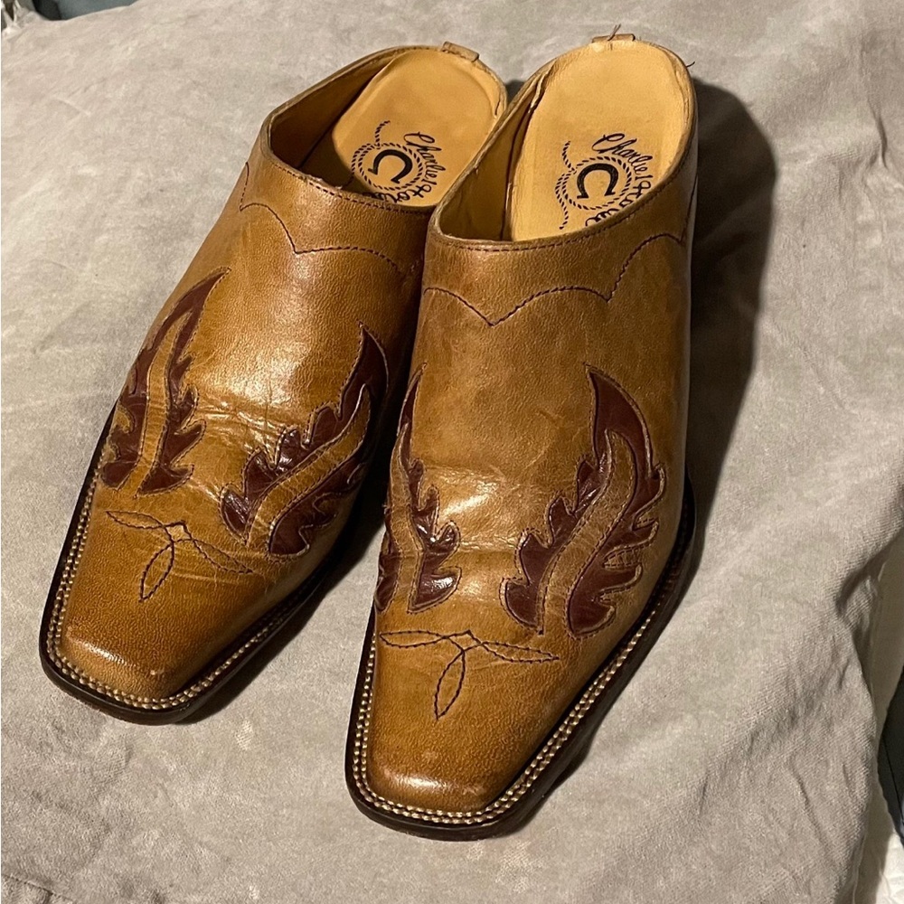 Charlie 1 Horse Shoes